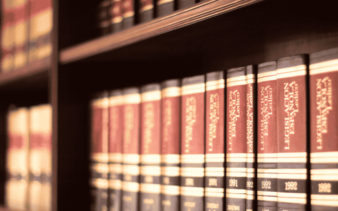 Appeal Custody Decision Nevada