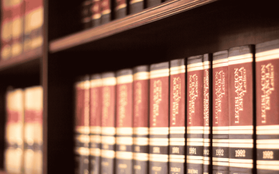 Appeal Custody Decision Nevada
